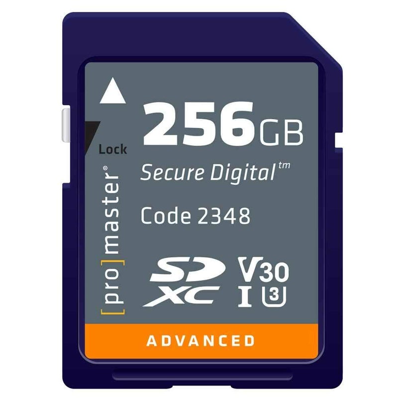 ProMaster SDXC 256GB Advanced - Image 1